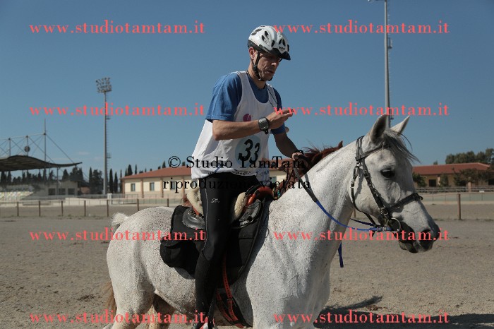 MAT_9541.JPG