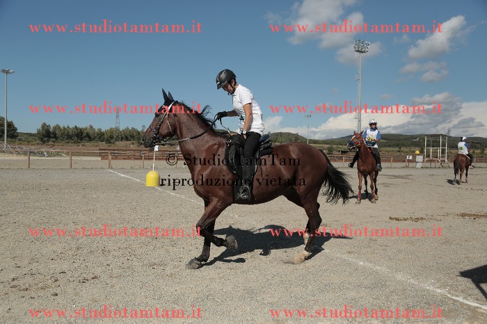 MAT_9602.JPG