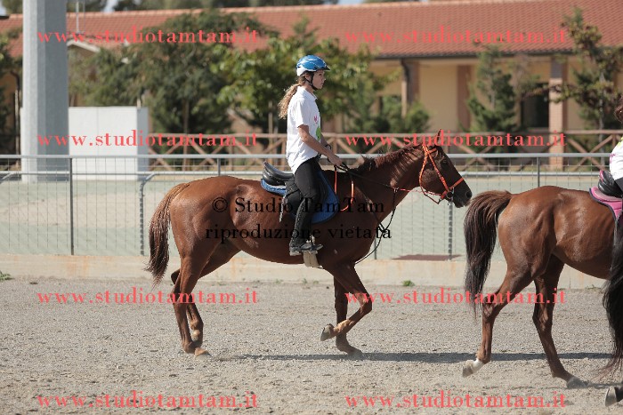 MAT_0027.JPG