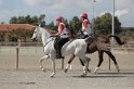 MAT_0205
