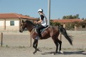 MAT_9451