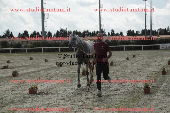 MAT_0383.JPG