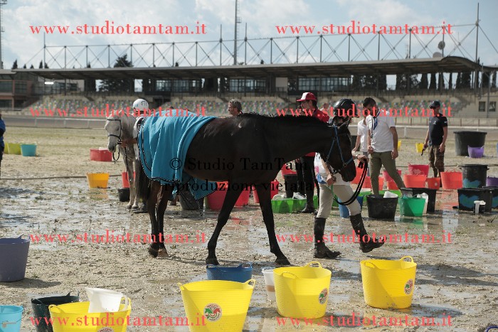 MAT_0405.JPG