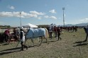 MAT_9397