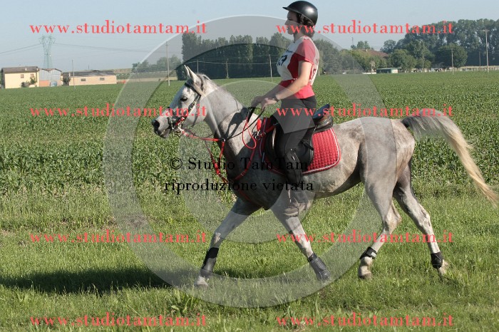 IMGB7073.JPG