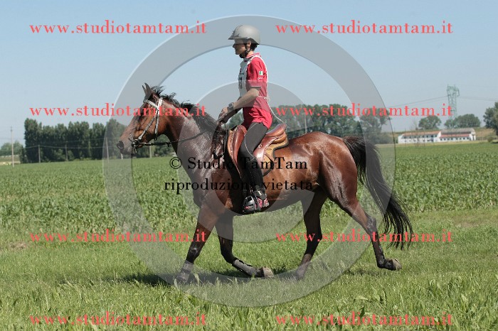 IMGB7633.JPG