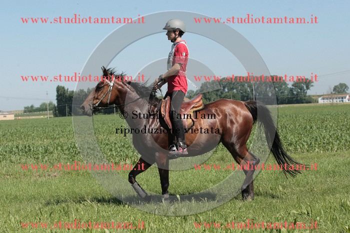 IMGB7634.JPG
