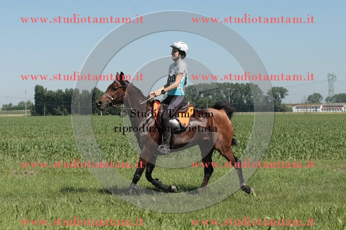 IMGB7721.JPG