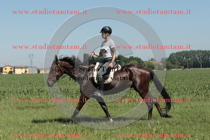 IMGB7755.JPG