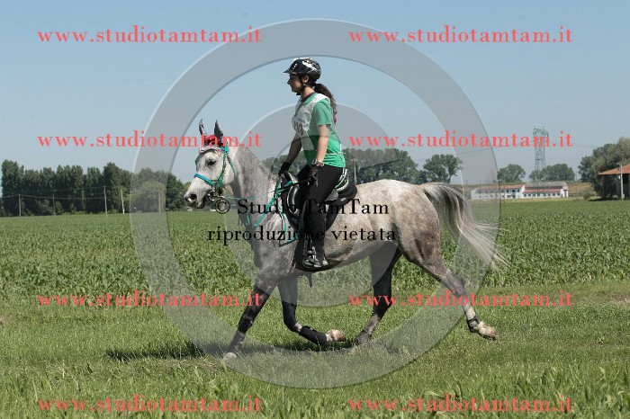 IMGB7783.JPG