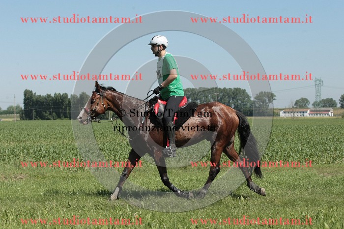 IMGB7789.JPG