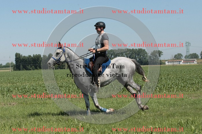 IMGB7821.JPG