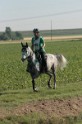 IMGB7016
