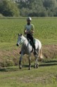 IMGB7078