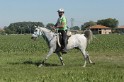 IMGB7458