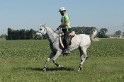 IMGB7461