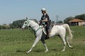 IMGB7517