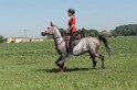 IMGB7742