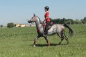 IMGB7743