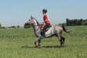 IMGB7745
