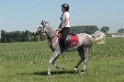 IMGB7762