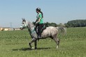 IMGB7787