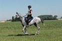 IMGB7822