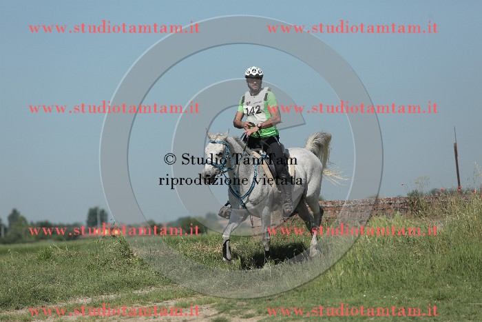 MAT_9687.JPG