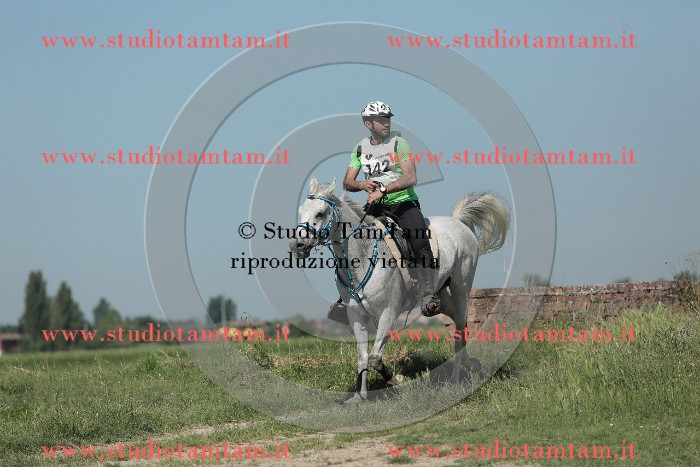 MAT_9688.JPG
