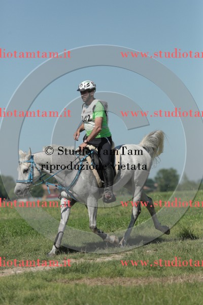 MAT_9689.JPG