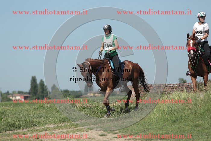 MAT_9756.JPG
