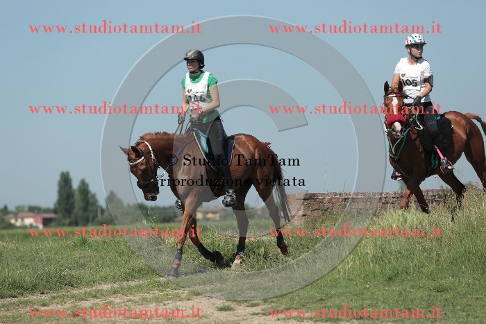 MAT_9757.JPG