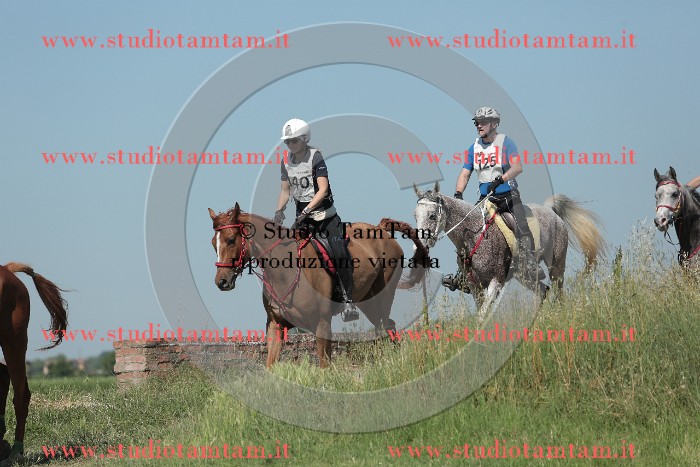 MAT_9760.JPG