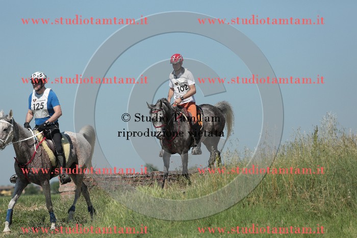 MAT_9765.JPG