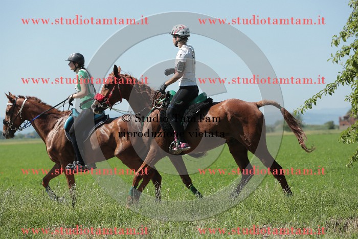 MAT_9768.JPG
