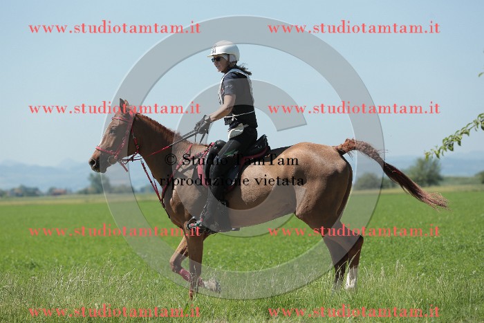 MAT_9770.JPG