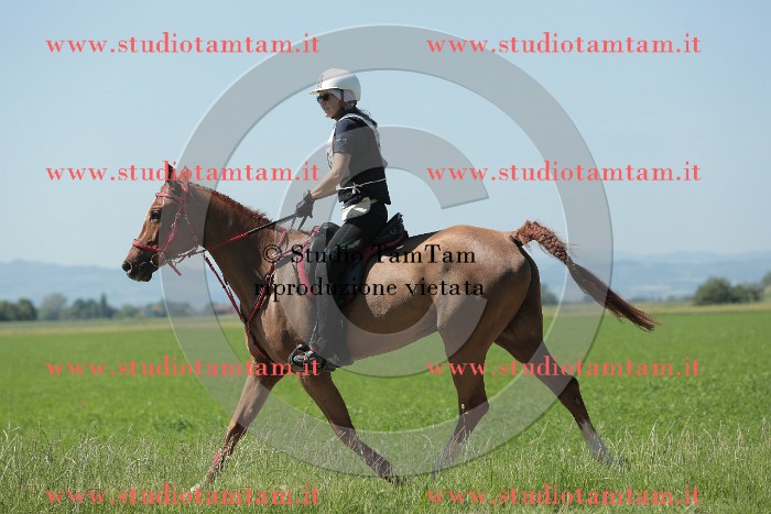MAT_9771.JPG