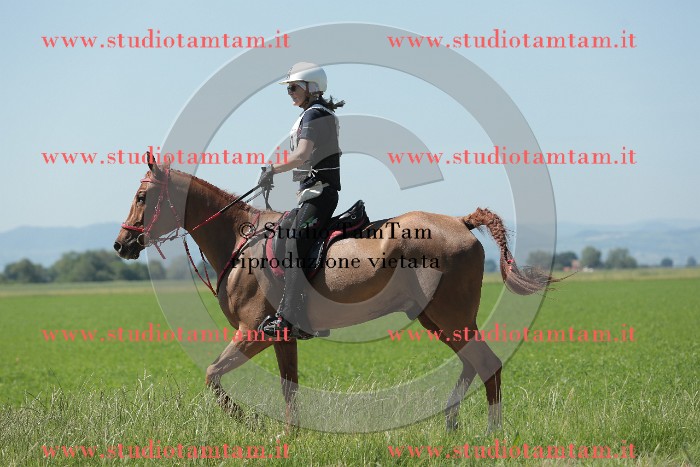 MAT_9772.JPG