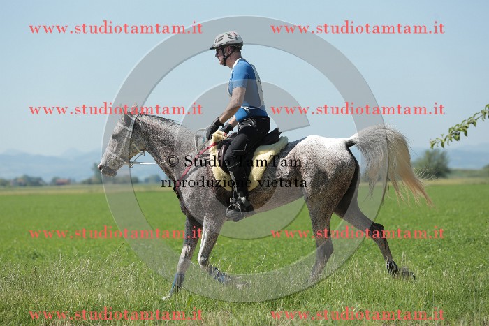 MAT_9773.JPG