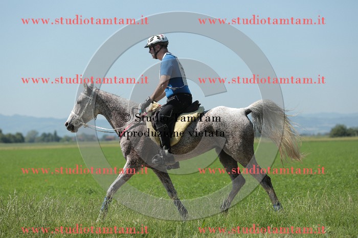 MAT_9774.JPG