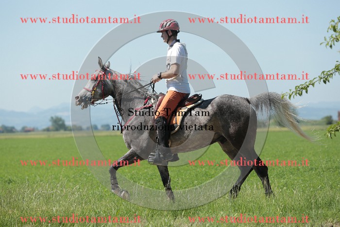 MAT_9775.JPG