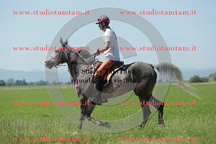 MAT_9776.JPG