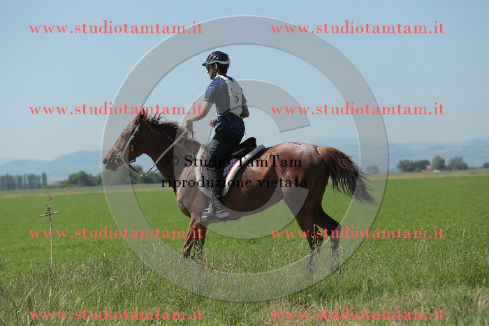 MAT_9778.JPG