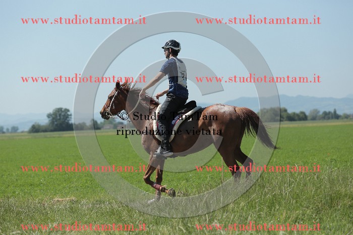 MAT_9779.JPG