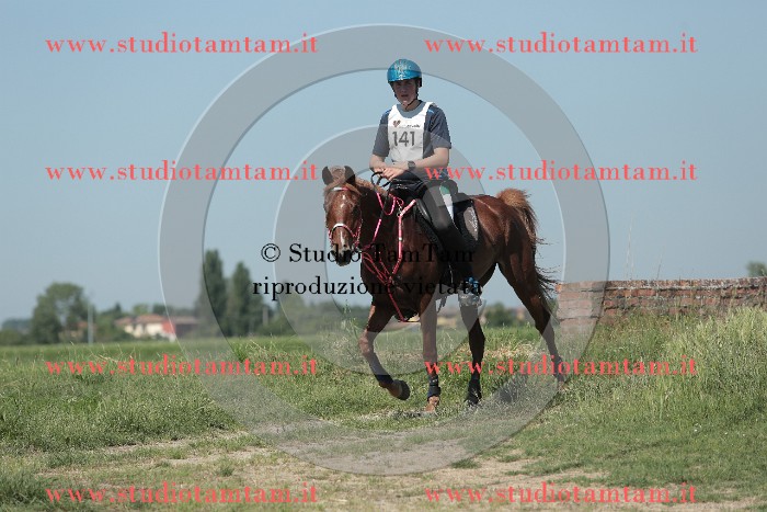 MAT_9782.JPG