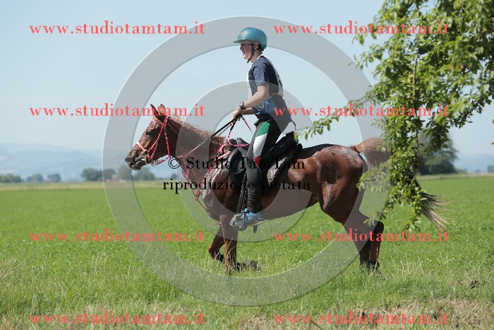 MAT_9787.JPG