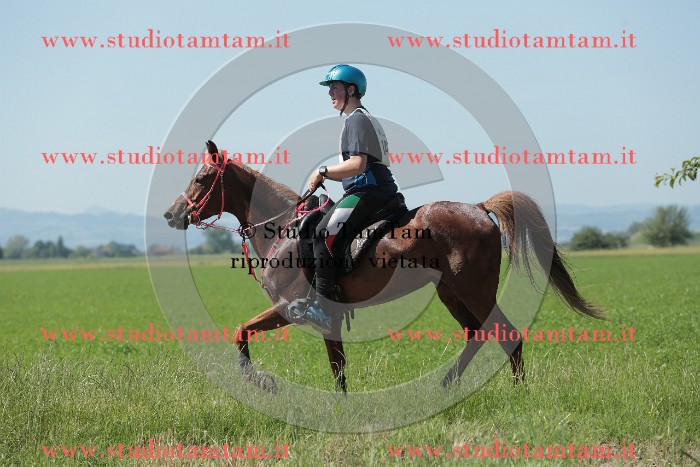 MAT_9789.JPG