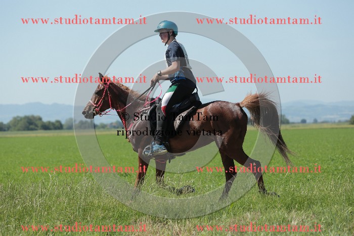 MAT_9790.JPG