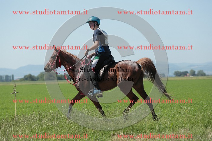 MAT_9791.JPG