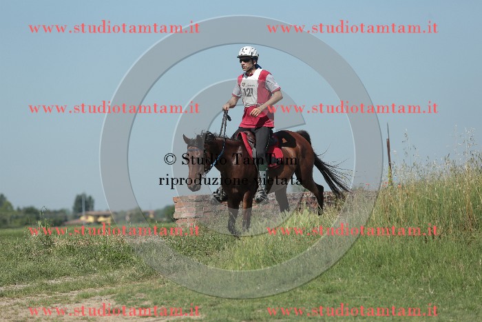 MAT_9792.JPG